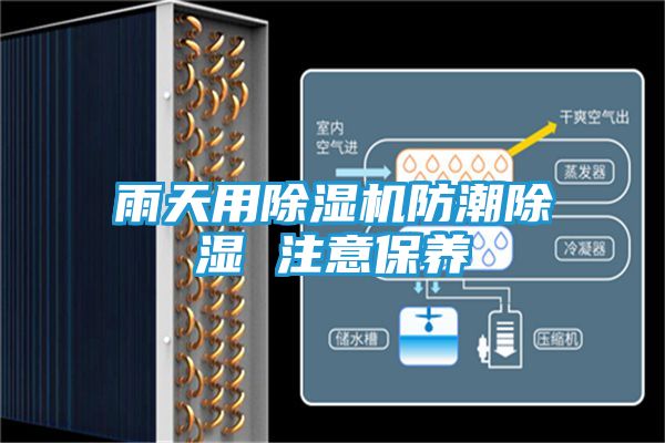 雨天用除湿机防潮除湿 注意保养