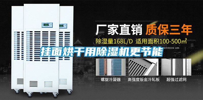 挂面烘干用除湿机更节能