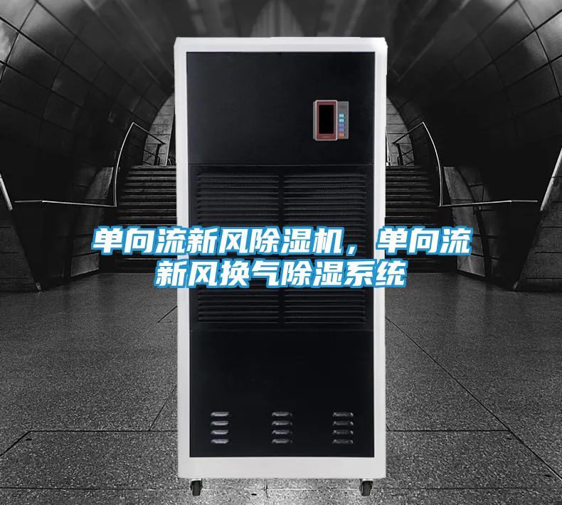 单向流新风除湿机，单向流新风换气除湿系统