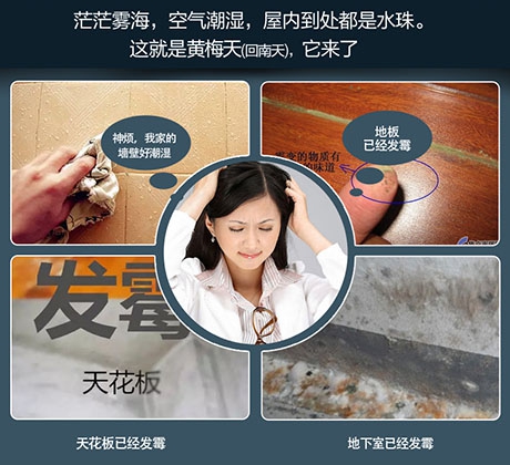 酒店、餐厅这么潮,谁还放心?除湿机用起来啊