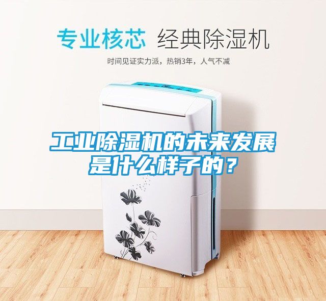 工业除湿机的未来发展是什么样子的？