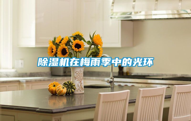 除湿机在梅雨季中的光环