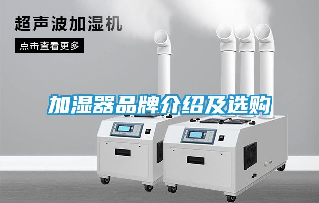 加湿器品牌介绍及选购