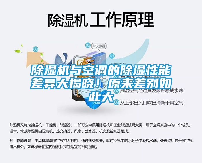 除湿机与空调的除湿性能差异大揭晓！原来差别如此大