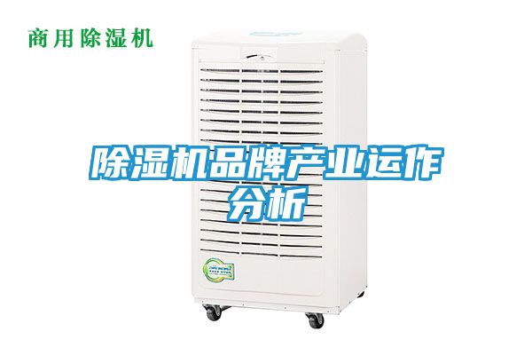 除湿机品牌产业运作分析