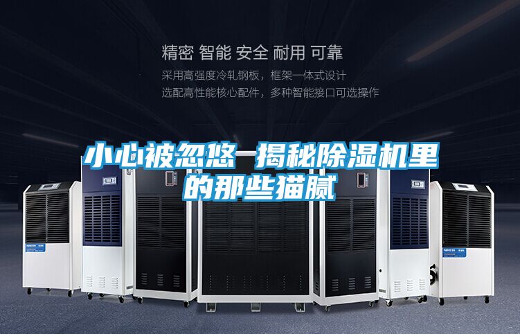 小心被忽悠 揭秘除湿机里的那些猫腻