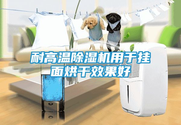 耐高温除湿机用于挂面烘干效果好