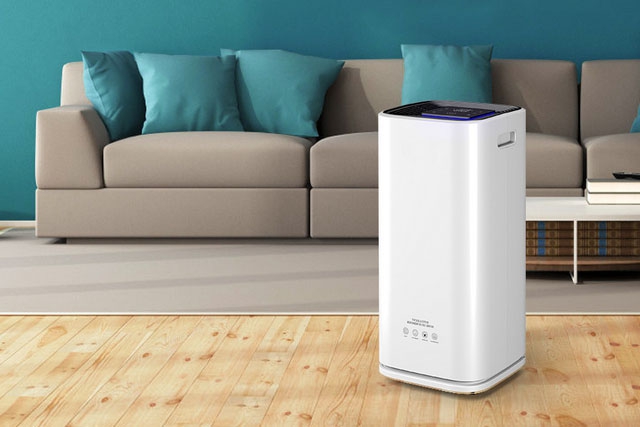 室内怎么防虫防潮才有效?