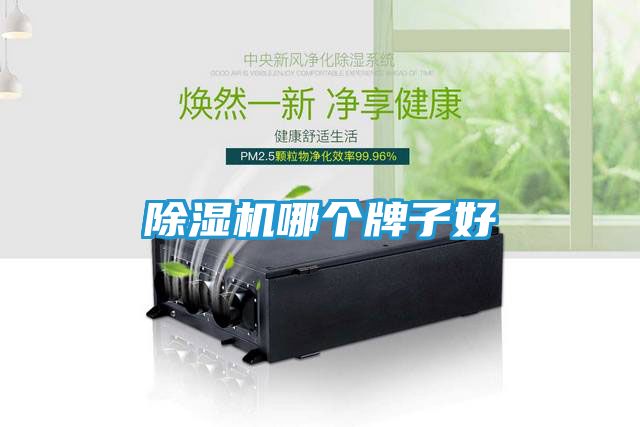 除湿机哪个牌子好