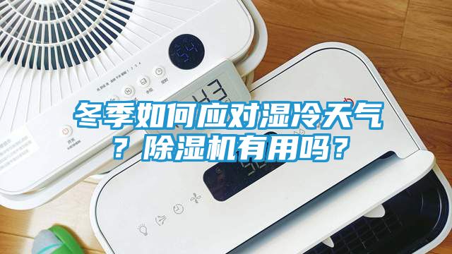 冬季如何应对湿冷天气？除湿机有用吗？