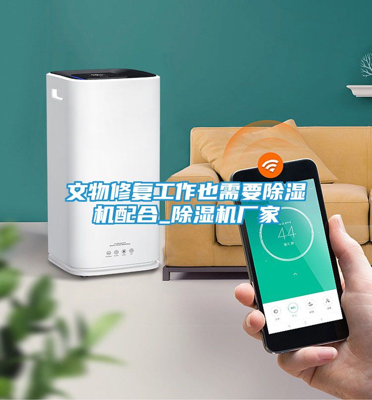 文物修复工作也需要除湿机配合_除湿机厂家