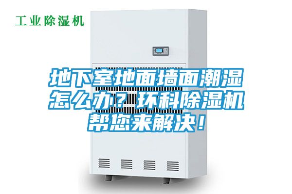 地下室地面墙面潮湿怎么办?环科除湿机帮您来解决!