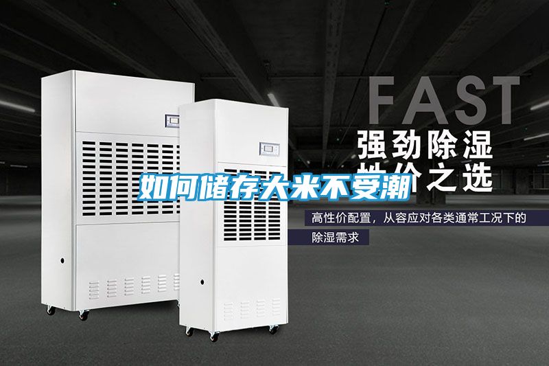 如何储存大米不受潮