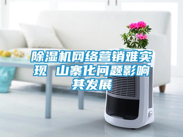 除湿机网络营销难实现 山寨化问题影响其发展