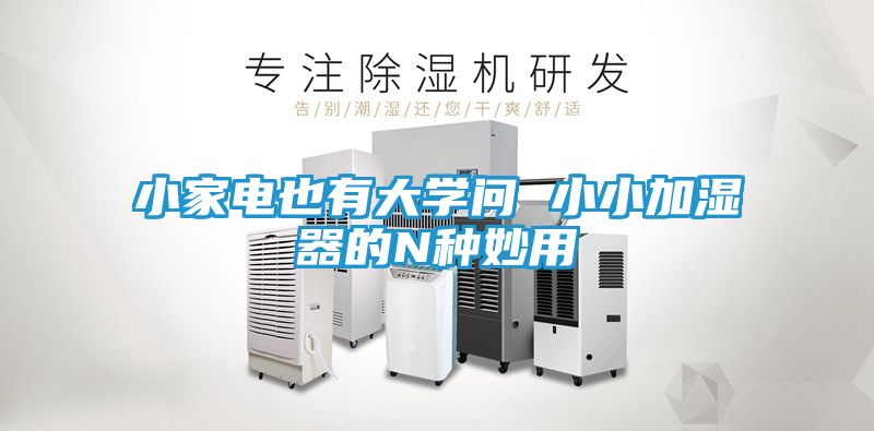 小家电也有大学问 小小加湿器的N种妙用