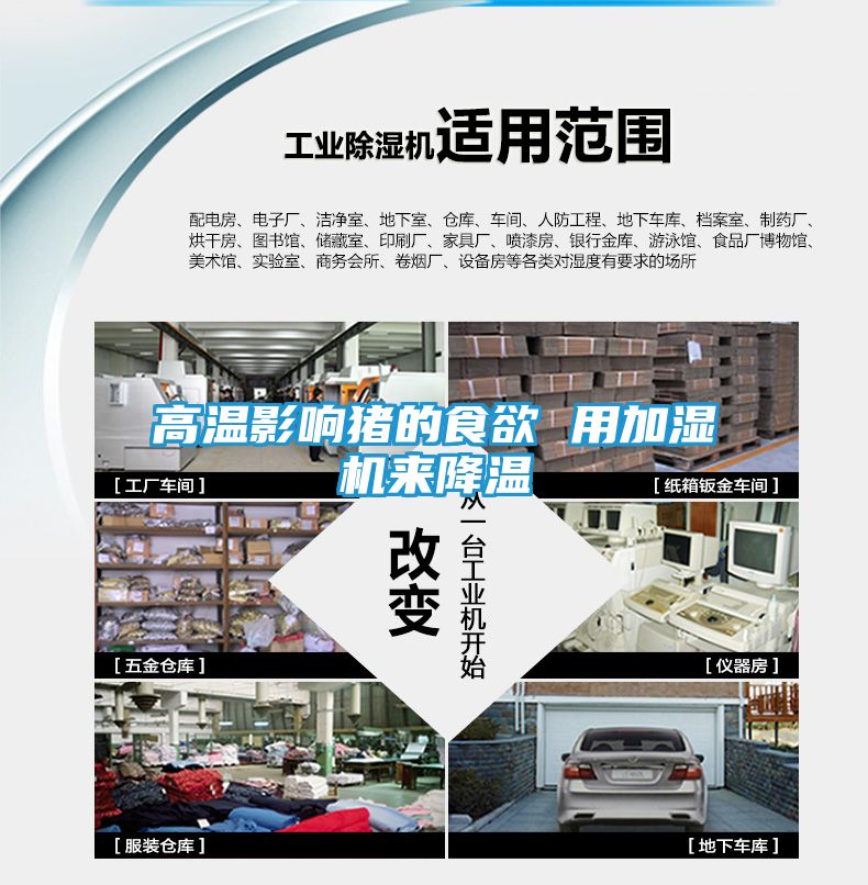 高温影响猪的食欲 用加湿机来降温