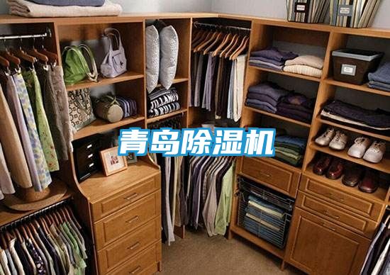 青岛除湿机