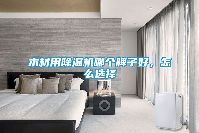 木材用除湿机哪个牌子好，怎么选择