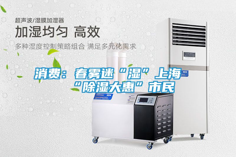 消费：春雾迷“湿”上海 “除湿大惠”市民
