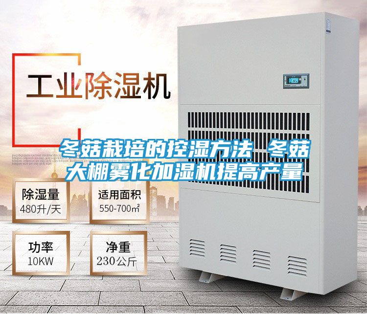 冬菇栽培的控湿方法 冬菇大棚雾化加湿机提高产量