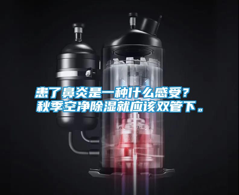 患了鼻炎是一种什么感受？ 秋季空净除湿就应该双管下。