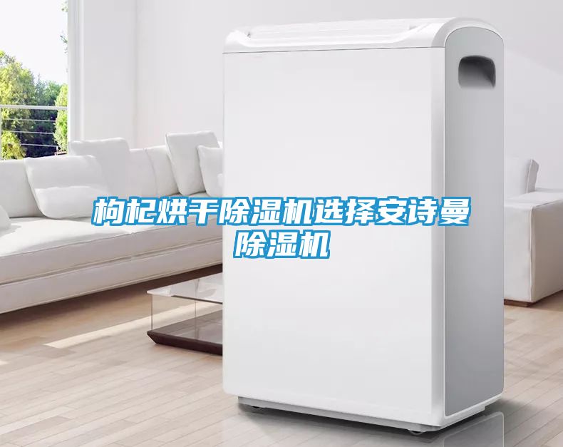 枸杞烘干除湿机选择安诗曼除湿机