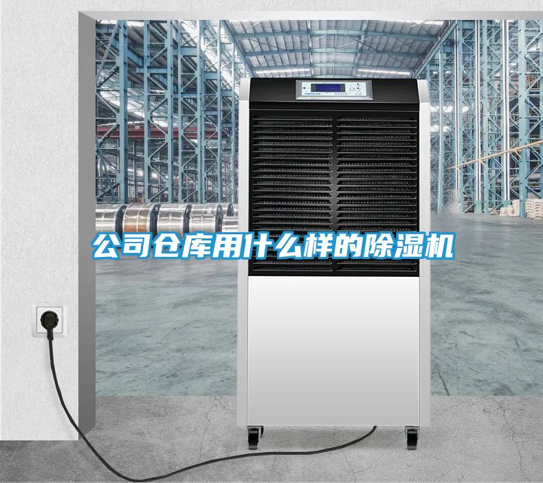 公司仓库用什么样的除湿机