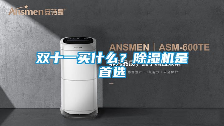 双十一买什么？除湿机是首选