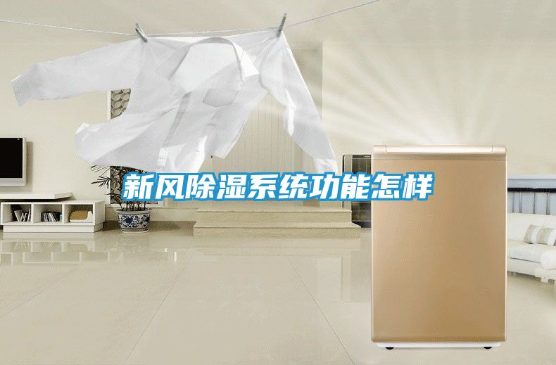 新风除湿系统功能怎样
