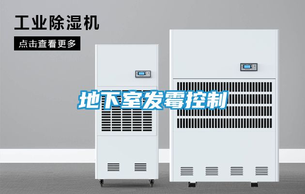 地下室发霉控制