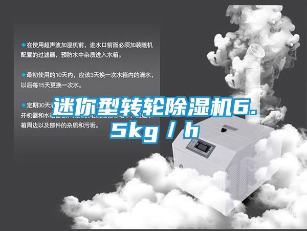 迷你型转轮除湿机6.5kg／h