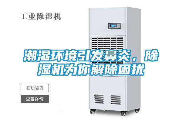 潮湿环境引发鼻炎，除湿机为你解除困扰