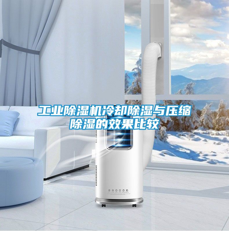 工业除湿机冷却除湿与压缩除湿的效果比较