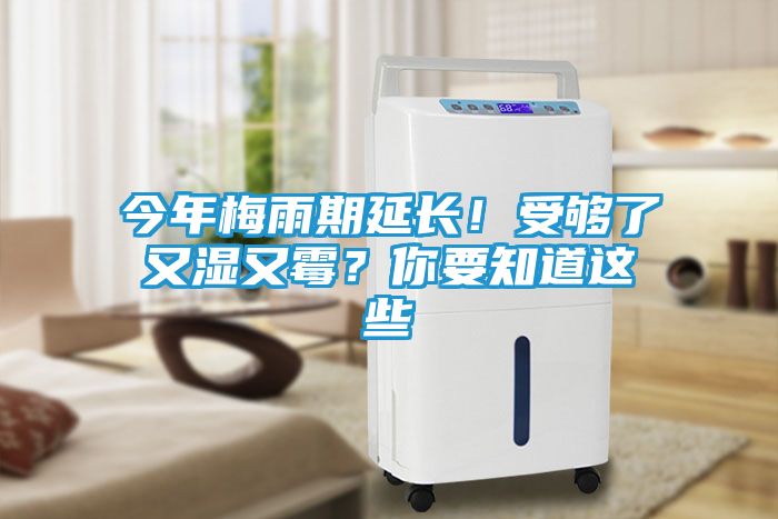 今年梅雨期延长！受够了又湿又霉？你要知道这些
