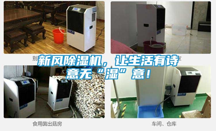 新风除湿机，让生活有诗意无“湿”意！
