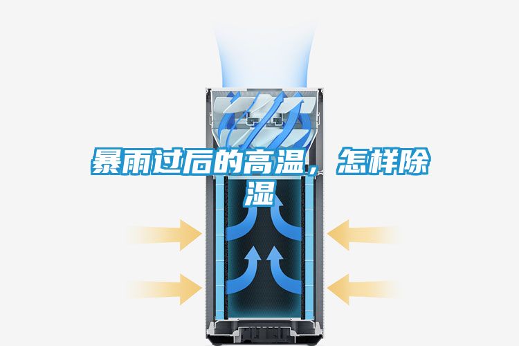 暴雨过后的高温，怎样除湿