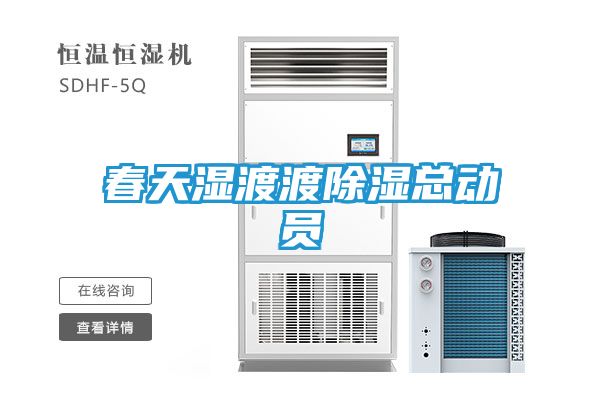 春天湿渡渡除湿总动员