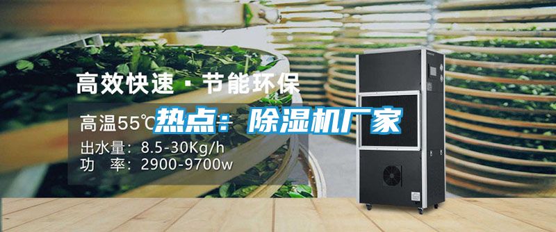 热点：除湿机厂家