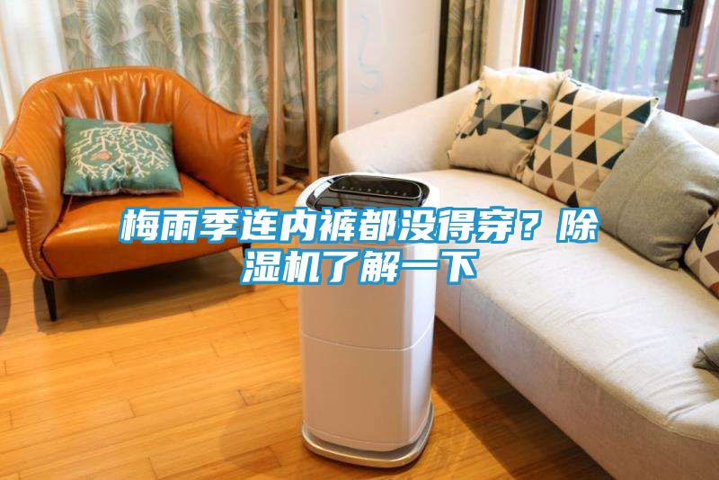 梅雨季连内裤都没得穿？除湿机了解一下
