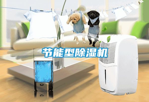 节能型除湿机