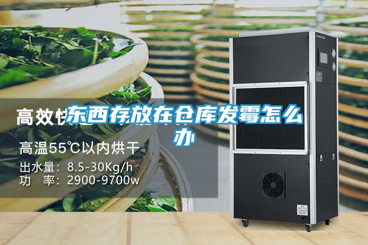 东西存放在仓库发霉怎么办