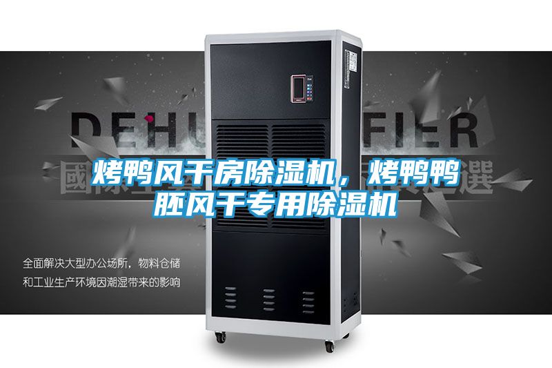 烤鸭风干房除湿机,烤鸭鸭胚风干专用除湿机