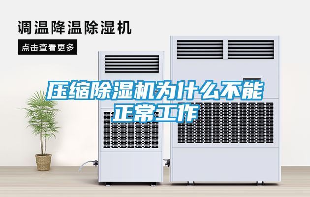 压缩除湿机为什么不能正常工作