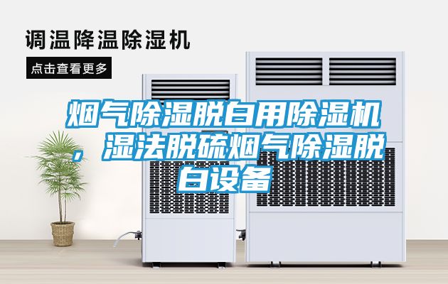 烟气除湿脱白用除湿机，湿法脱硫烟气除湿脱白设备