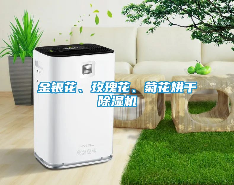 金银花、玫瑰花、菊花烘干除湿机