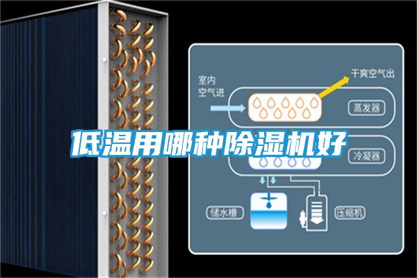 低温用哪种除湿机好