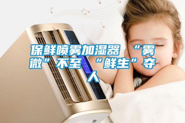 保鲜喷雾加湿器 “雾微”不至 “鲜生”夺人