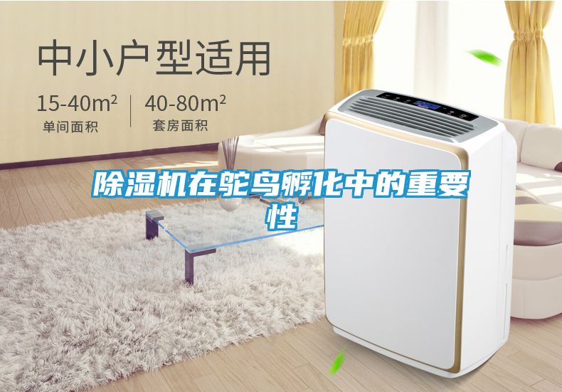 除湿机在鸵鸟孵化中的重要性