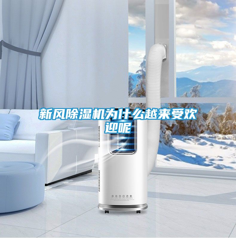 新风除湿机为什么越来受欢迎呢
