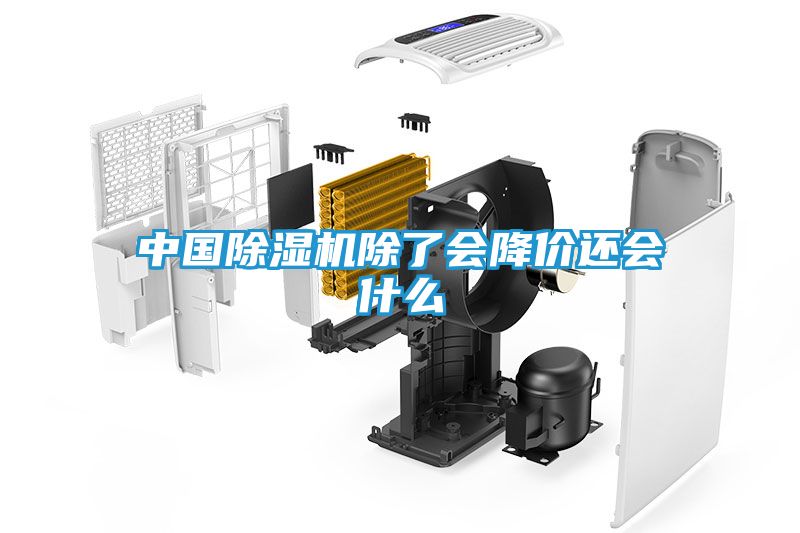中国除湿机除了会降价还会什么